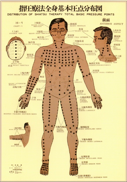 Shiatsu Tsubo Chart