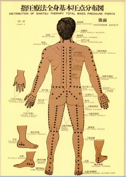 Shiatsu Tsubo Chart